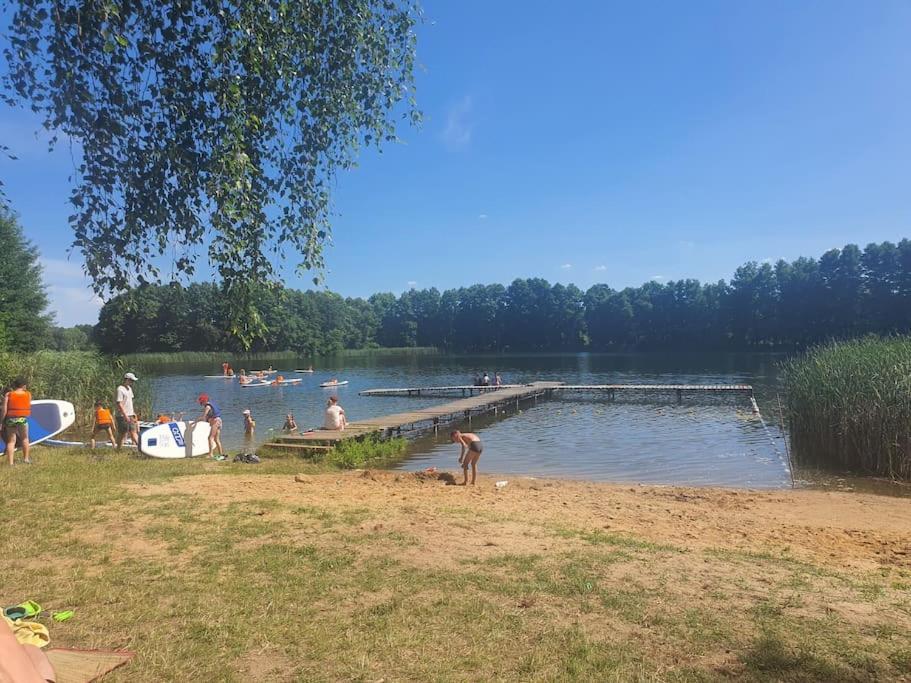Holenderki Na Zielonych Wzgorzach, Lowyn エクステリア 写真