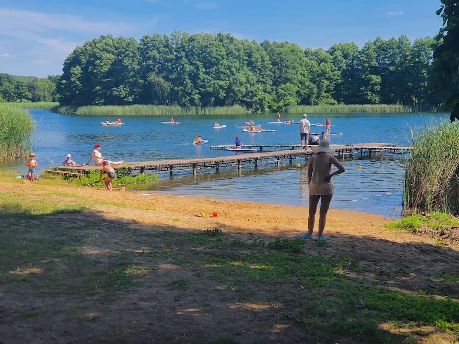Holenderki Na Zielonych Wzgorzach, Lowyn エクステリア 写真